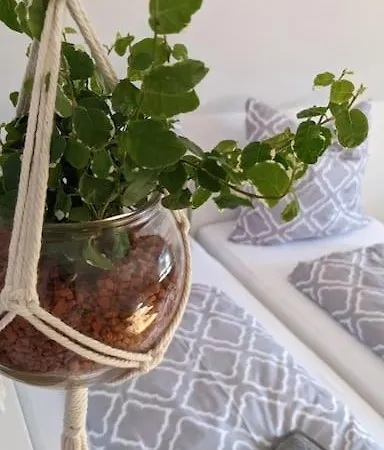Moderne Einliegerwohnung Am Wald Apartment *